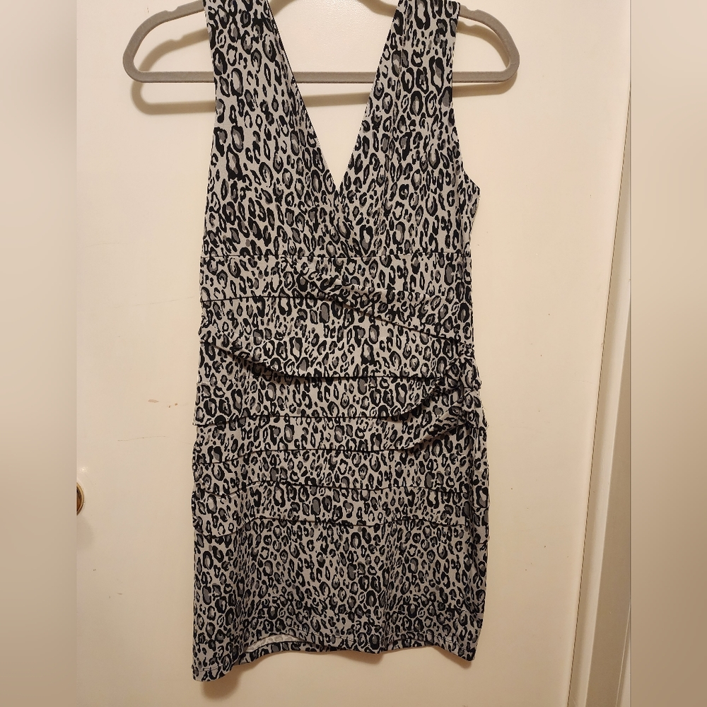 Sweet Storm Leopard Dress